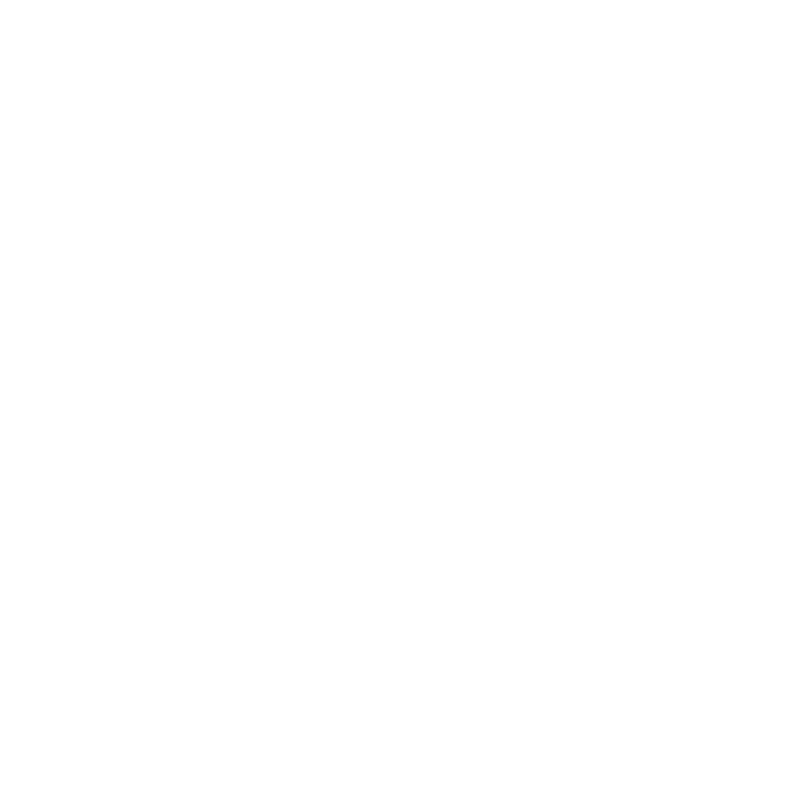 Becuz I Matter - Leadership Coaching - Ann Fogolin Logo Brandstamp Circular Flower White